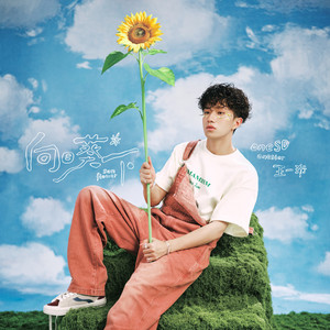 柏木舞子娘婿的感人故事知乎
