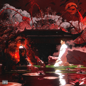 柏木舞子娘婿的感人故事知乎
