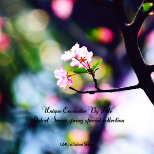 柏木舞子娘婿的感人故事知乎
