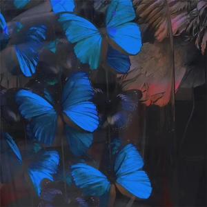 柏木舞子娘婿的感人故事知乎
